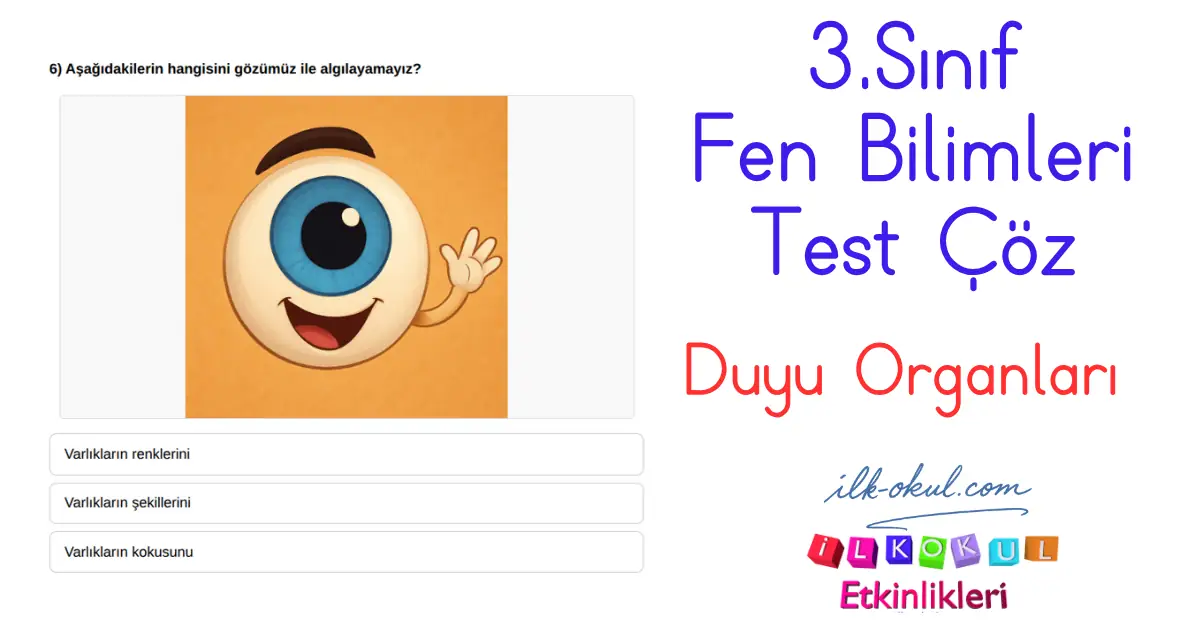 Duyu Organları Testi 3. Sınıf Fen Bilimleri