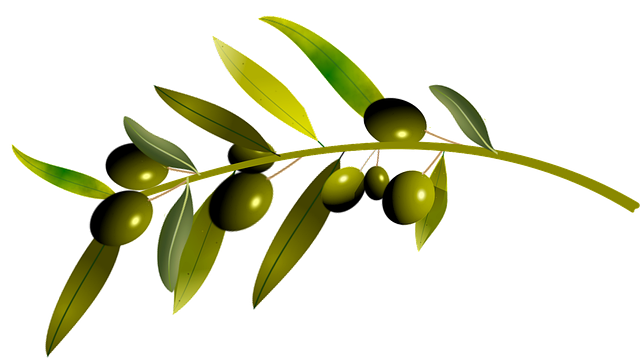 zeytin