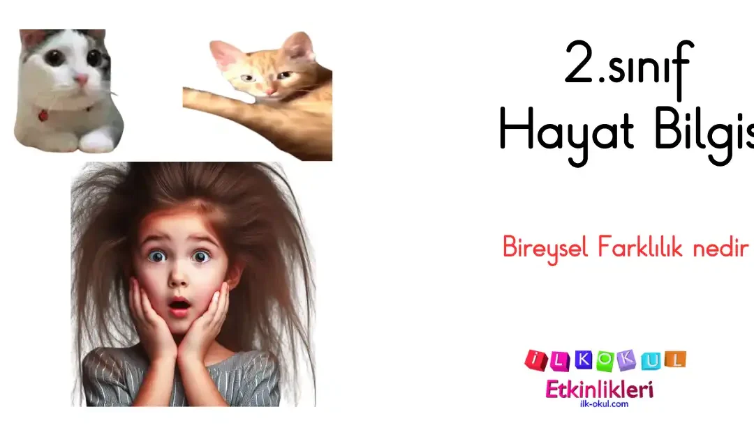 2.sınıf bireysel farklılık nedir