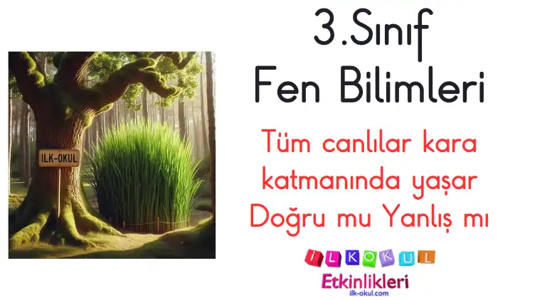Tüm canlılar kara katmanında yaşar