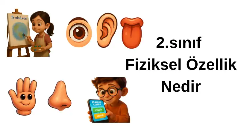2-sinif-fiziksel-ozellik-nedir