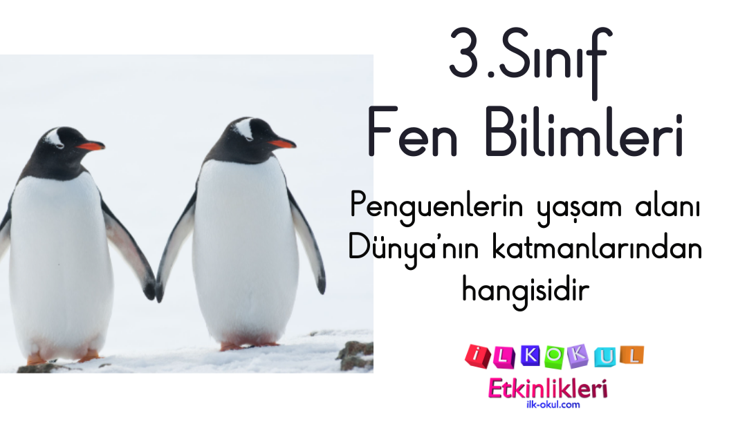 Penguenlerin yaşam alanı Dünya’nın katmanlarından hangisidir